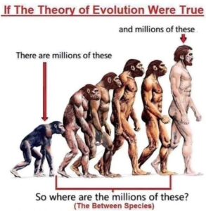 Evolution Is A Joke