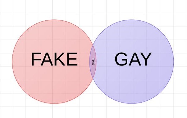 Fake And Gay