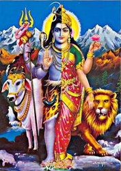 hindu androgyne