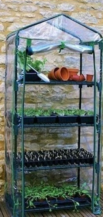 This is what the greenhouse looks like (not actual photo of my greenhouse.)